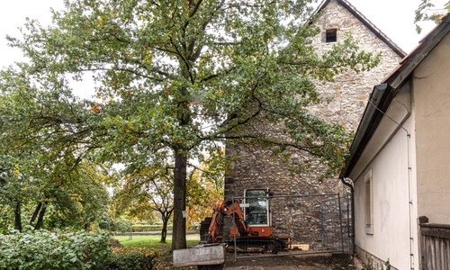 Die große Eiche an der Kniestedter Kirche soll gefällt werden. 