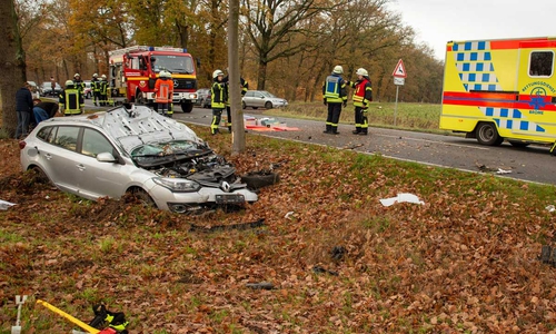 Das Auto kollidierte nach dem Zusammenstoß mit dem Pferd noch mit einem Baum.