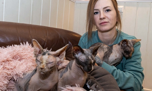 Yanni Zafiris mit einigen der geretteten Katzen.