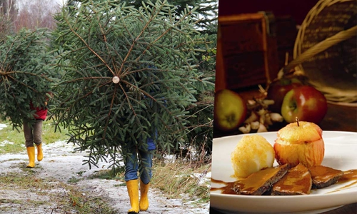 Weihnachtsbäume und Festtagsbraten.