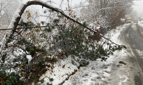 Einsatzstelle Reitstallweg.