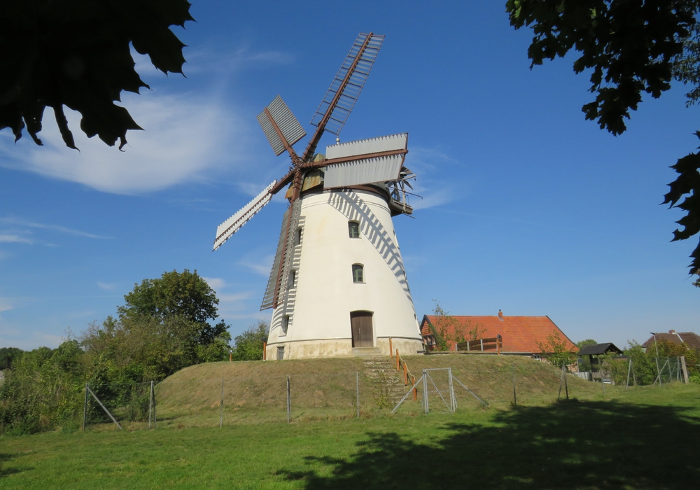 Standesamtliche Trauungen sind im historischen Ambiente der Windmühle Wendhausen wieder möglich.