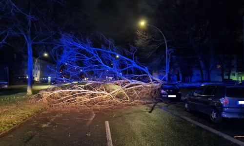 25 Einsätze mussten die Feuerwehren der Stadt Salzgitter bisher abarbeiten.
