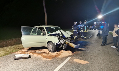 Der Lupo wurde komplett zerstört.