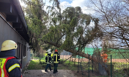 Ein Baum war auf die Kita Halchter gefallen.