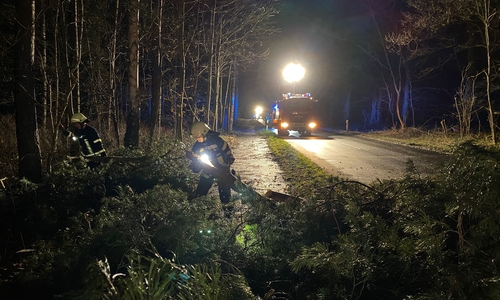 Die Feuerwehr Lehre hatte erneut alle Hände voll zu tun.