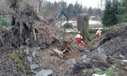 Die Sturmschäden im Harz sind noch nicht beseitigt.