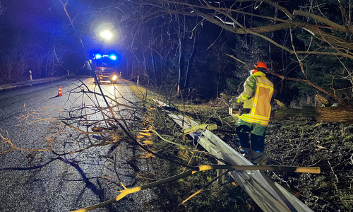 Auf der L501 Richtung Oker war ein Baum umgekippt.