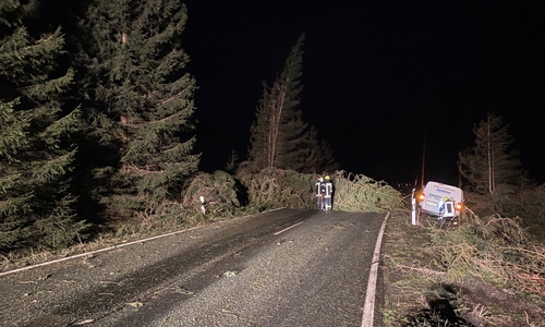 Mehrere umgestürzte Bäume mussten von Bundes- und Landstraßen rund um Braunlage entfernt werden.
