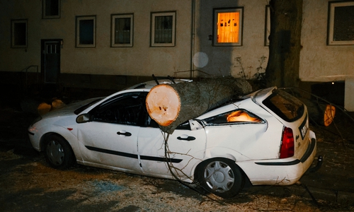 Ein Auto im Klevergarten wurde komplett zerstört.