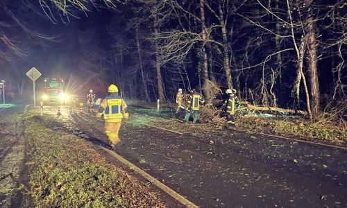 Auf der B244 zwischen Velpke und Grafhorst landete ein Baum auf der Straße.