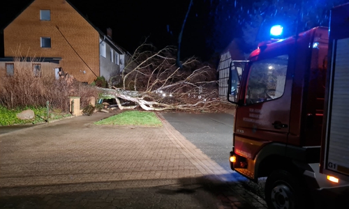 Ein Baum war auf die Straße gefallen.