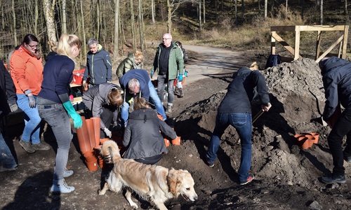 Geschäftiges Treiben im Wald. Freiwillige  füllen Töpfe mit Erde, stecken Eicheln hinein und stapeln sie zum Abtransport.