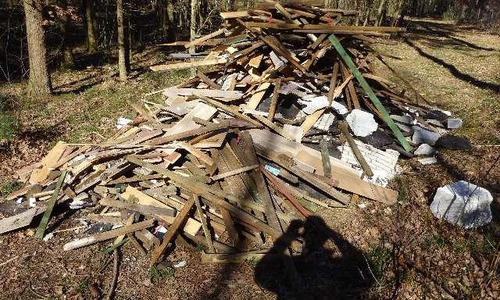 Auch ein ganzer Haufen Holz wurde im Wald entsorgt. 