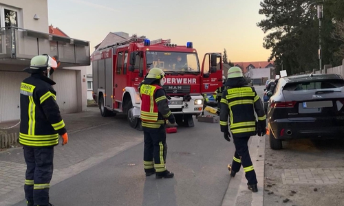 Die Feuerwehr Linden musste am heutigen Morgen einen Hund aus einer misslichen Lage befreien.