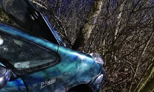 Das Auto wurde letztlich durch einen Baum gestoppt.