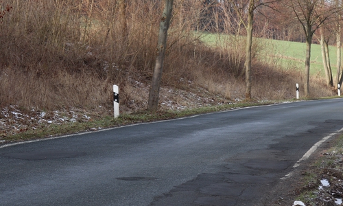 Die Burgbergstraße ist in keinem guten Zustand. Archivbild