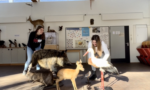 Die aktuellen FÖJlerinnen Luzie Pessel (l.) und Hannah Döhnert (r.) in der NEST.