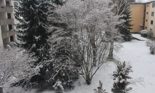 Ein Blick aus dem Fenster am Morgen des 1. Aprils.