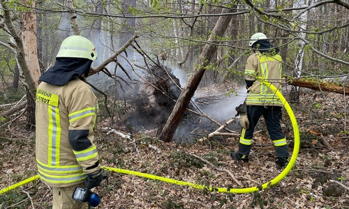 Vor Ort brannte die Wurzel eines umgestürzten Baumes.