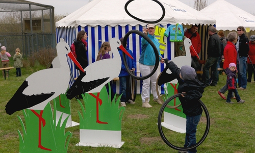 Am 24. April findet wieder das Storchenfest statt.