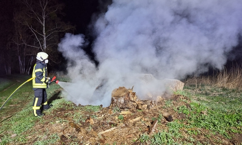 Die Feuerwehr löschte den Baumstumpf.