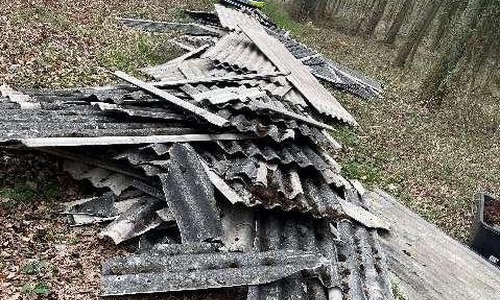 Der Wald wurde als Müllhalde missbraucht.