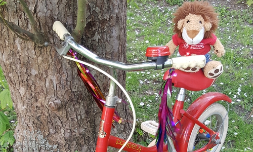 Die TU bietet den KidsFlitzParcours an.