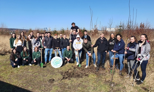 Schüler des  Gymnasium Anna-Sophianeum pflanzten Bäume in ihrem Schulwald