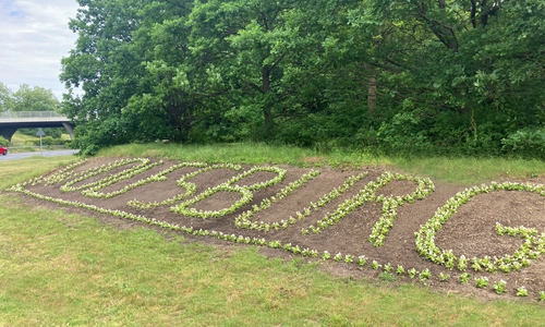 Ein Gruß an alle Besucher und Einheimische.