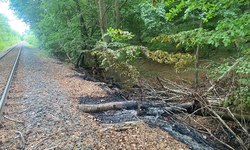 In Grasleben stand eine größere Waldfläche in Flammen.