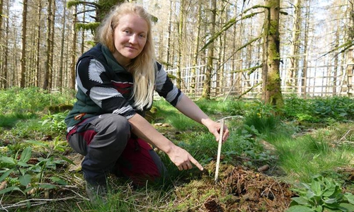 Försterin Marlies Büttner prüft eine Tannensaat. Nach einem Jahr misst der Winzling acht Zentimeter.