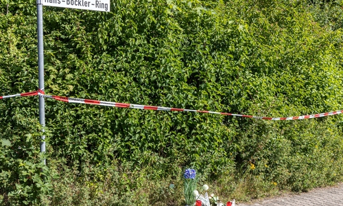  regionalheute.de hat mit dem Stadtrat und Jugenddezernenten der Stadt Salzgitter, Dr. Dirk Härdrich, gesprochen, wie es mit dem 13-Jährigen nun weitergeht. 