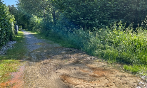 Das Wasser der Seckau hat sich unterirdisch seinen Weg gesucht und ist auf dem Weg zwischen Edeka und der St.-Annen-Straße wieder zu Tage getreten. 