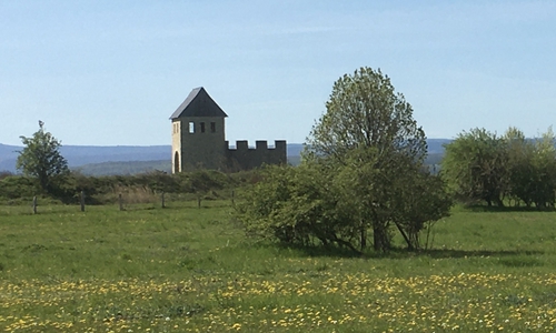 Die alte Kaiserpfalz Werla.