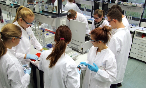 Enzymatische Analysen im BioS Schülerlabor: Teilnehmer des Ferienkurses 2015 zum Thema Systembiologie, unterstützt von der Joachim Herz Stiftung und in Kooperation mit dem BRICS (HZI und TU Braunschweig).