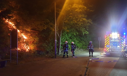Einsatz Flächenbrand Astfelder Straße.