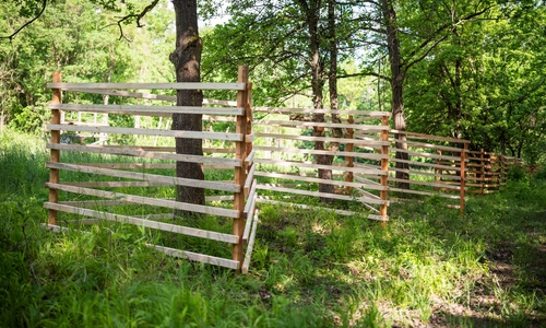 Diese Zäune sollen die Bäume vor den Beschützern der Wiese beschützen: den Eseln.