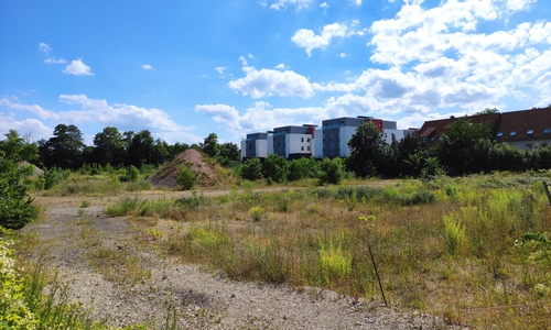 Hier soll das Baugebiet entstehen.