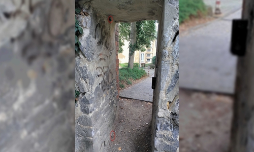 Das Tor zum Wallgarten wurde entwendet.