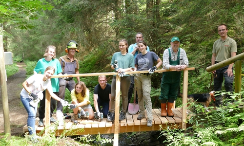 Das Workcamp 2021 beim Brückenbau am Grumbacher Teich.
