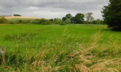 Auf Äckern des Rittergutes Binder  wurden drei Flächen mit ausgedehntem Grünland angelegt.