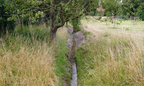 Hahnenbeek in Bornum: Die Hahnenbeek in Bornum führte im Sommer wenig Wasser.