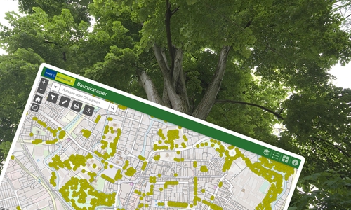 Auf einer Stadtkarte kann man genau sehen, wo welcher öffentliche Baum steht.