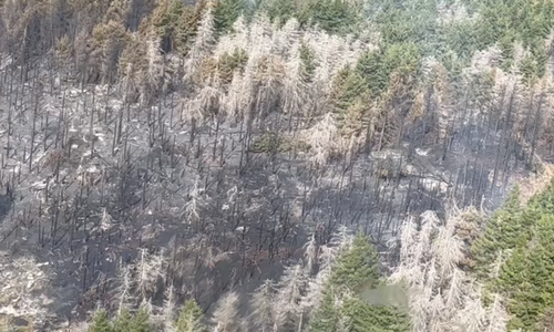 Aufnahmen aus der Luft zeigen das ganze Ausmaß des Waldbrandes auf dem Brocken.
