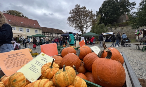 Der Herbstmarkt auf der Burg lockte viele Besucher an. 