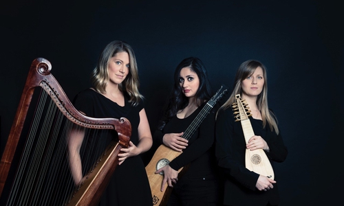 Das Trio Sixty1Strings.