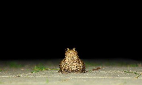Na, wer kommt denn da?