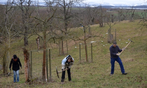 Der Arbeitseinsatz mit Mitgliedern des Vereins.