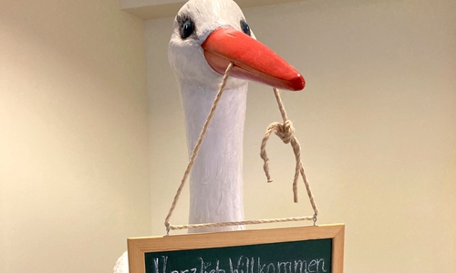 Der Geburtenstorch im Eingangsbereich der Klinik präsentiert täglich alle Neuankömmlinge.